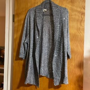 Sejour Sequin Knit Cardigan 1X